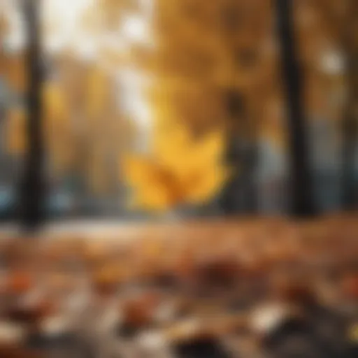 Golden leaves falling from trees in JVC