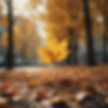 Golden Leaves of Autumn in JVC Golden leaves falling from trees in JVC