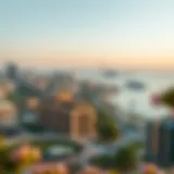 Panoramic view of Al Danube real estate developments