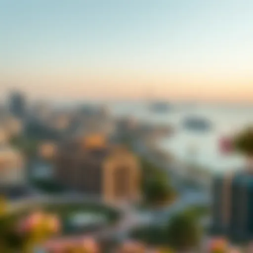 Panoramic view of Al Danube real estate developments