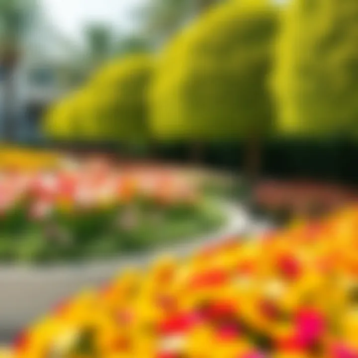 Vibrant flower beds in Al-Hamidiya Park demonstrating its botanical diversity
