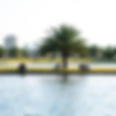 Relaxation by the Lake at Barsha Park Visitors relaxing by the serene lake in Barsha Park