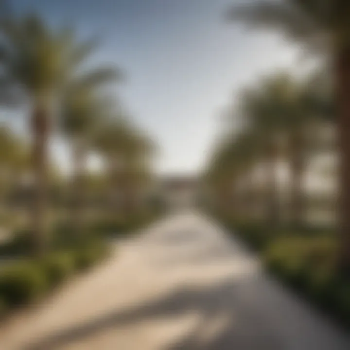 A beautiful community park within Damac Hills Rotana