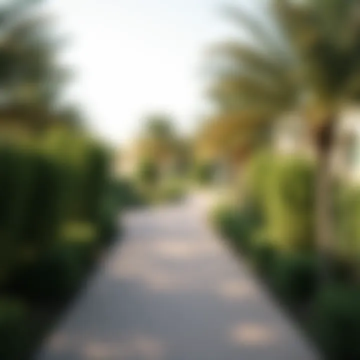 Serene walking paths meandering through حديقة صقر