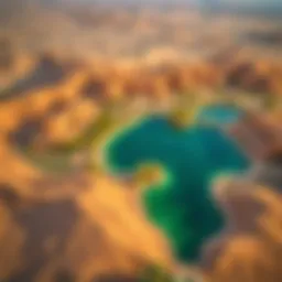 Aerial view showcasing the lush greenery of Liwa Oasis amidst the vast desert landscape