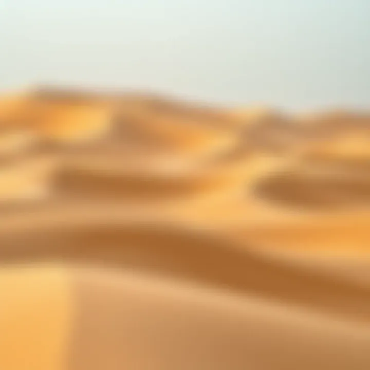Vast sand dunes surrounding Liwa Oasis, emphasizing its geographical significance