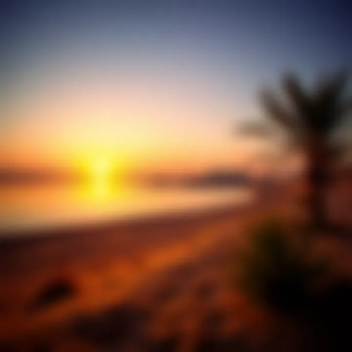 Sunset over Love Lake Al Qudra illuminating the desert landscape