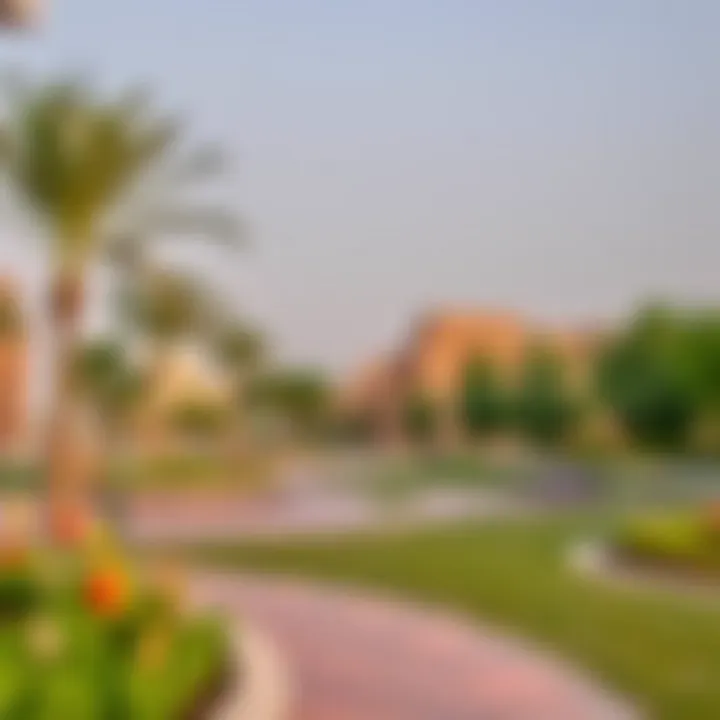 Vibrant community parks within Nad Al Sheba Gardens offering recreational spaces.