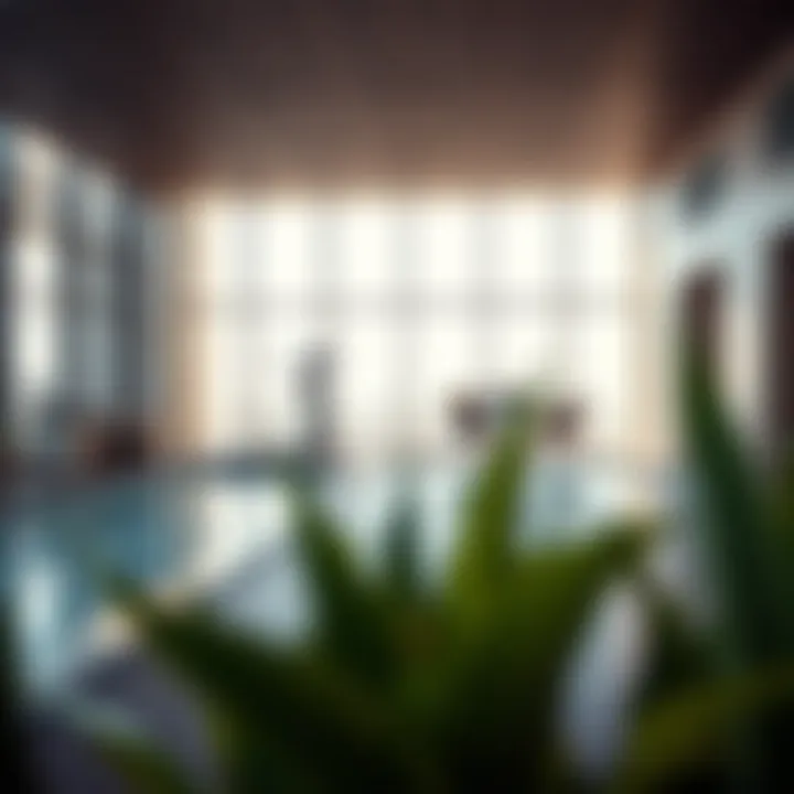 Amenities available in a one-bedroom flat, including gym and pool