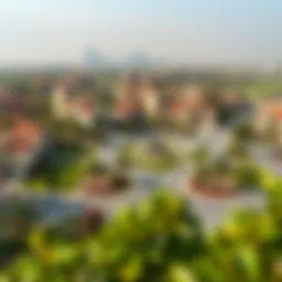 A panoramic view of a luxurious neighborhood in Dubai showcasing parks