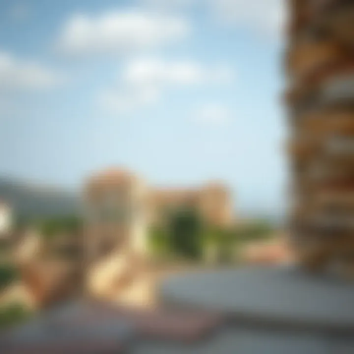 Surrounding landscape highlighting the charm of قصر الشاطئ