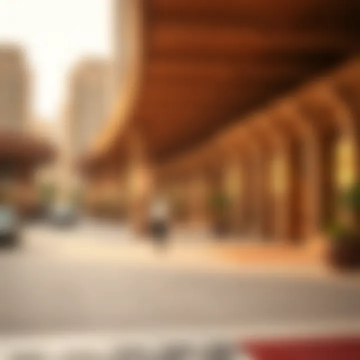 Travelers exploring the UAE