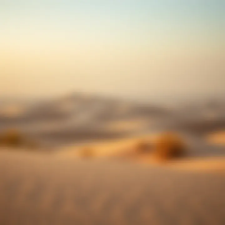 A serene desert landscape with winter hues