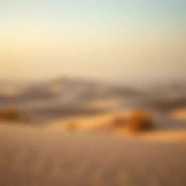 Enchanting Dubai Desert in Winter A serene desert landscape with winter hues