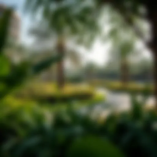 Lush greenery and pathways of Khalifa A Track Garden