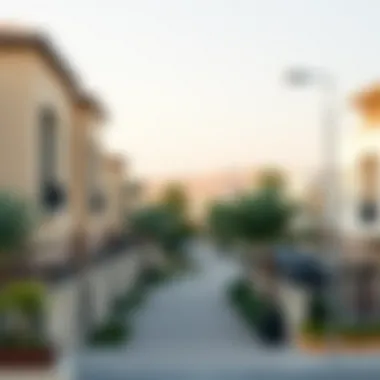 A scenic view of a popular neighborhood in Dubai