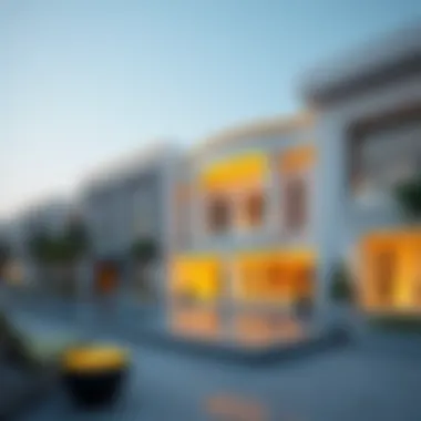 A luxurious lifestyle representation in the UAE