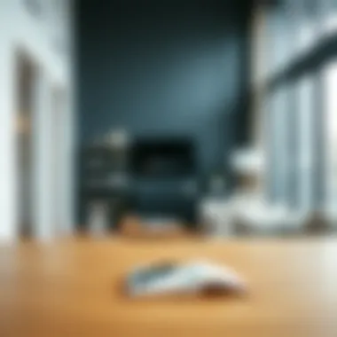 A modern apartment showcasing essential renter's possessions
