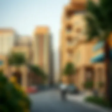 Diverse Dubai Community Diverse community in a modern Dubai neighborhood