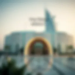 A detailed infographic illustrating visa status verification steps in the UAE
