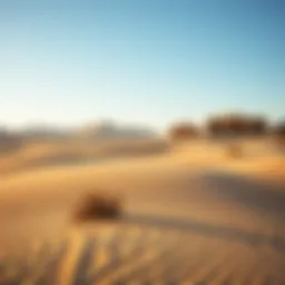 Stunning desert landscape during winter with clear blue skies