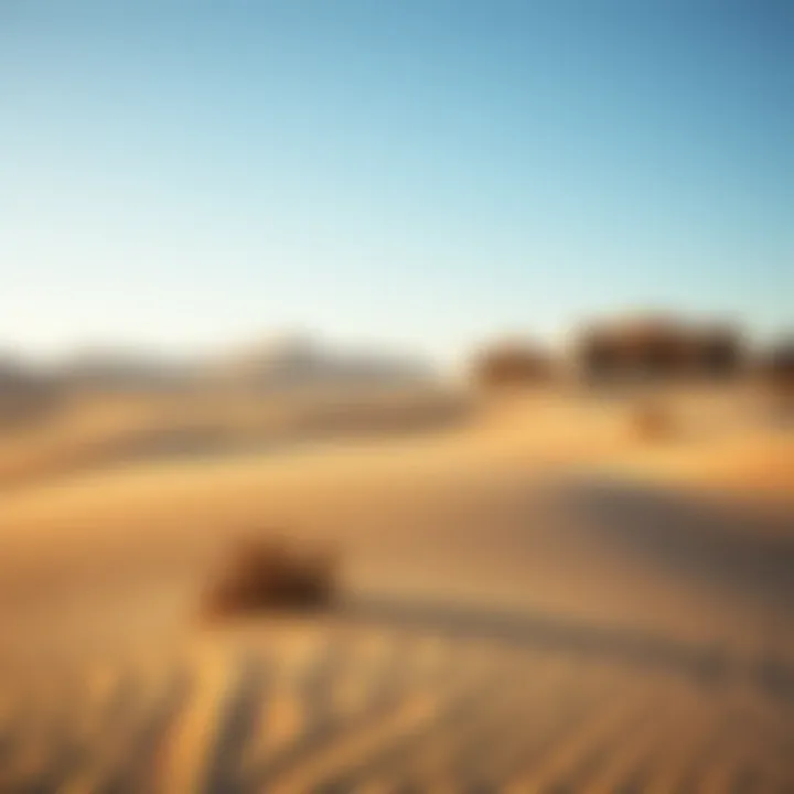 Stunning desert landscape during winter with clear blue skies